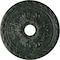 Ekena Millwork Palmetto Medallion (Canopies up to 5"), 20 7/8"OD x 3 5/8"ID x 1 5/8"P, Painted Turtle Crackle CM20PMPTC - alternate 1